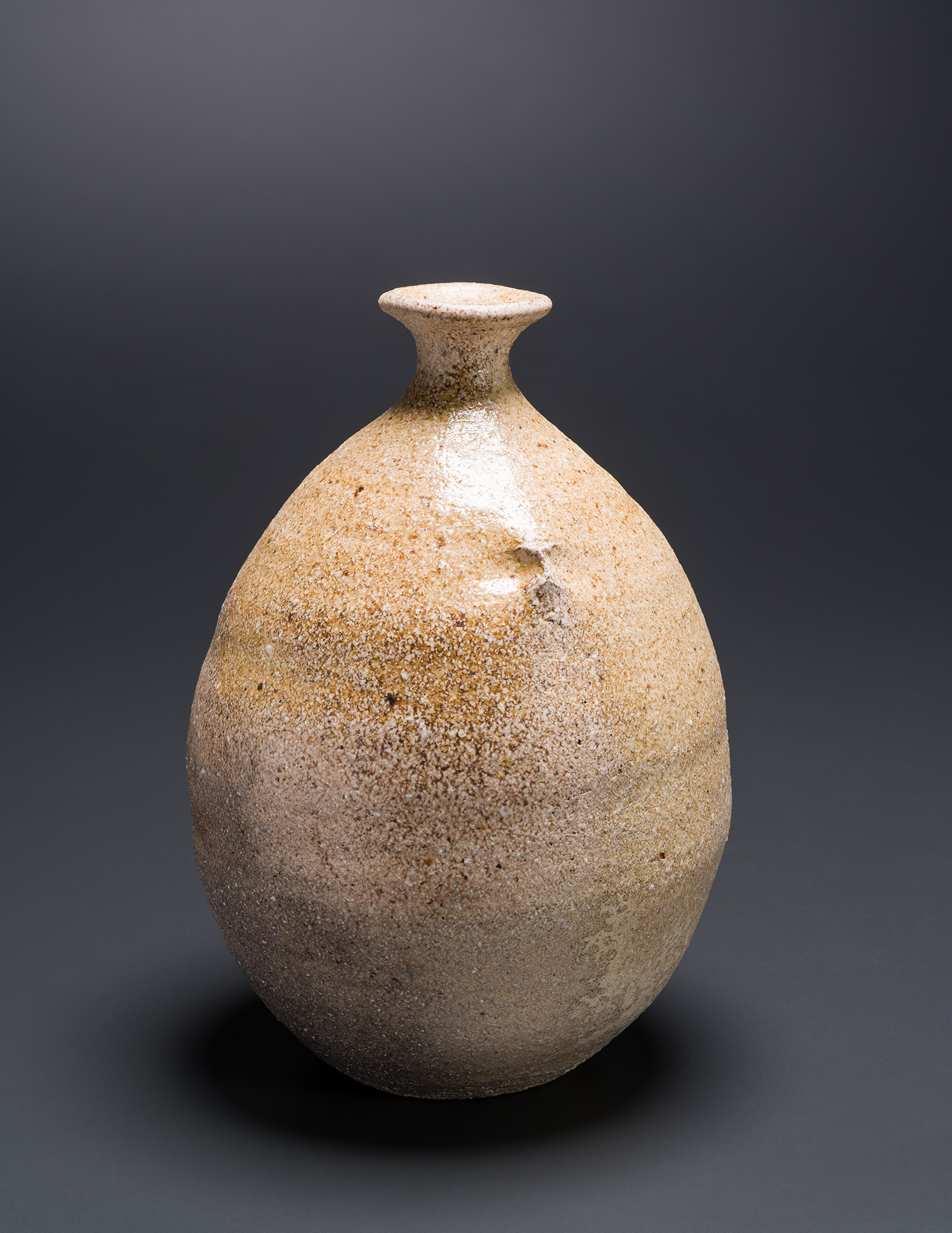 An Iga-yaki Vase by Nagatani Yasuhiro