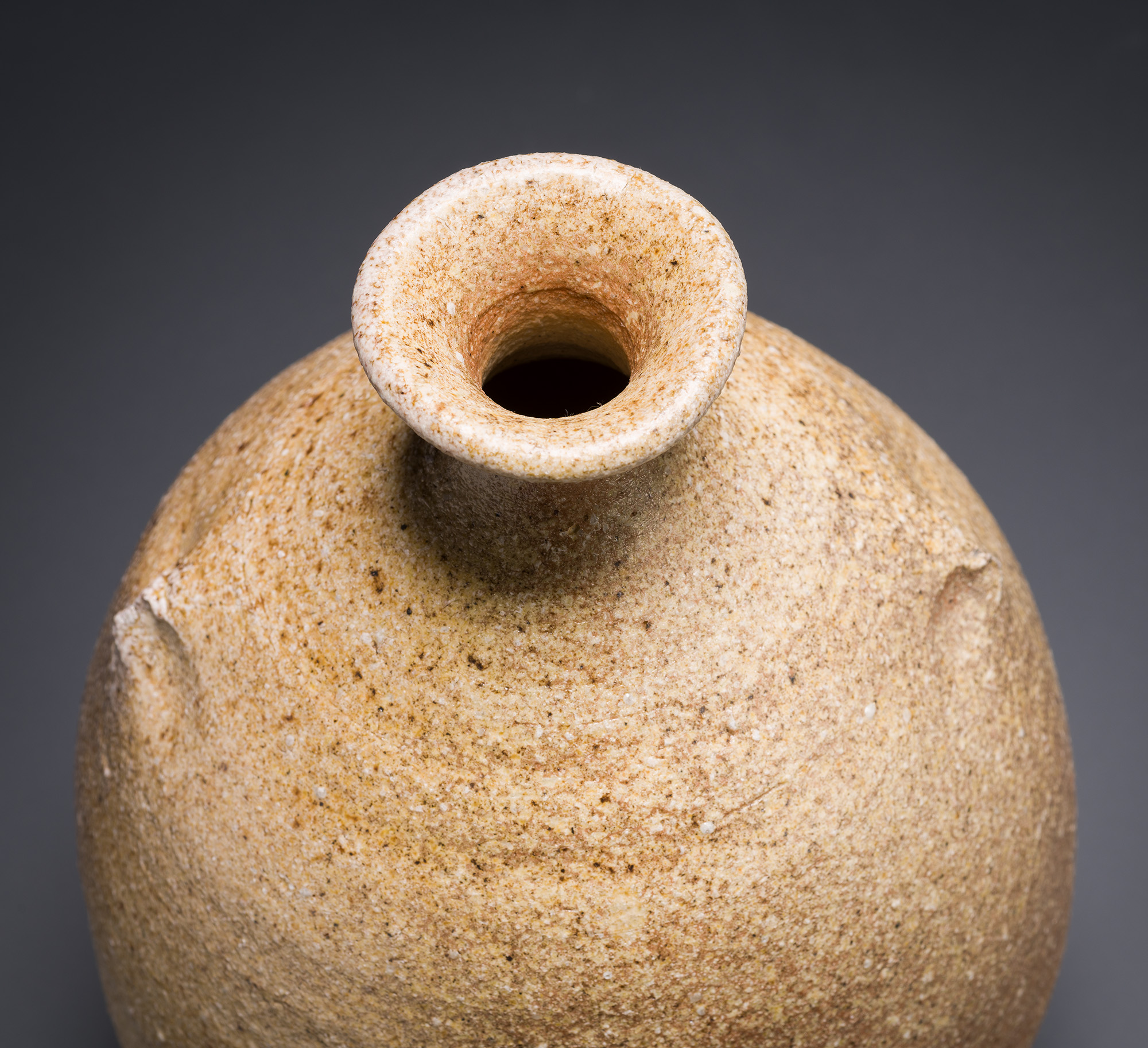 An Iga-yaki Vase by Nagatani Yasuhiro